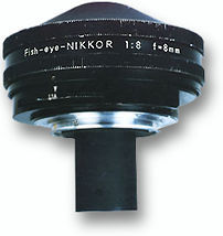 8MM fishJohnson.jpg