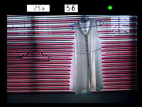 Viewinfo-dress.jpg (12k) Loading..