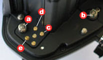 F4nobbaryillus.jpg