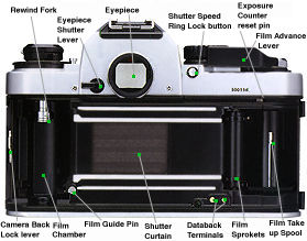 Back View.jpg (15k)