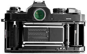 Backview.jpg (18k) Loading...