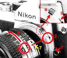 Lens Coupling.jpg (15k)
