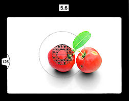 Viewfinder.jpg (10k) Loading..