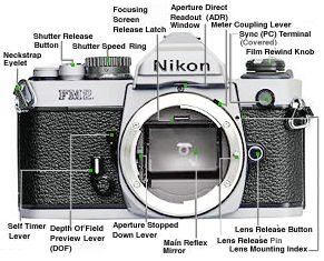 Nikon Fm2    -  7