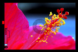 om2macro.jpg