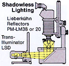 lightSetup3.jpg