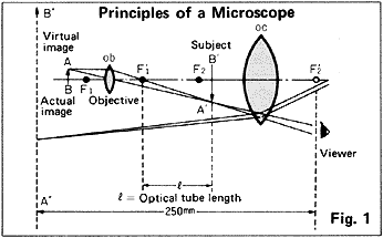 Microscope principle.gif