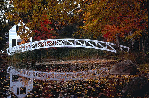 large_footbridge.JPG (63k) Loading ....