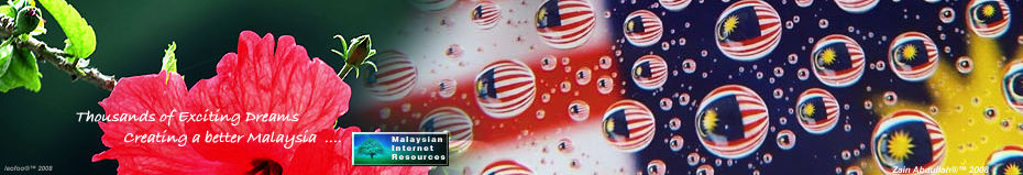 Creating a better Malaysia under the thousands of dreams behind the national flag and National Flower, Hibiscus (33k)