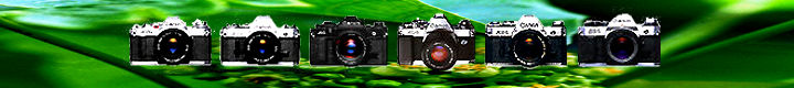 Canon A-Series header.jpg