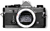 OM-2n.jpg