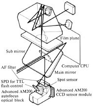 Optical Path.image