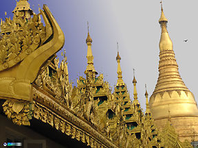 Photo of the Shwedagon pagoda  at the traffic light