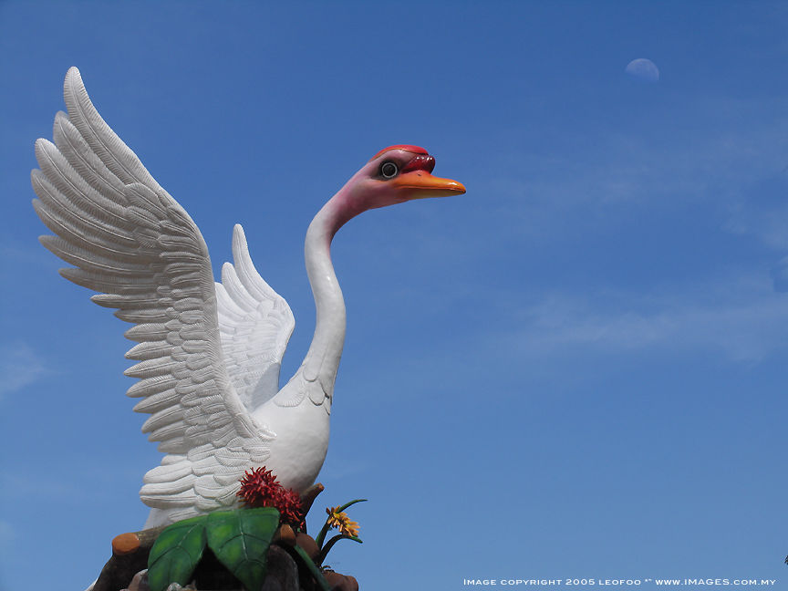 Sibu's Swan