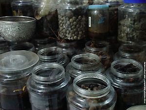 Herbs of Chiangmai in Bottles