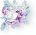 flower7.jpg