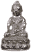 iconpakring.gif