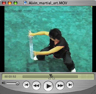 Alvin Foo, Malaysia, presenting during Martial Art, Selangor open (Kung Fu show)