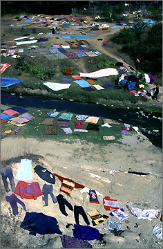 2pic11.jpg