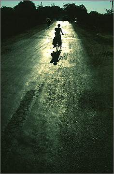 2pic5.jpg
