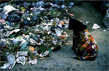 pic11.jpg