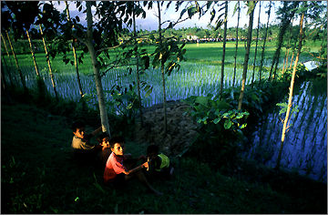 pic10.jpg