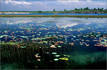 pic11.jpg