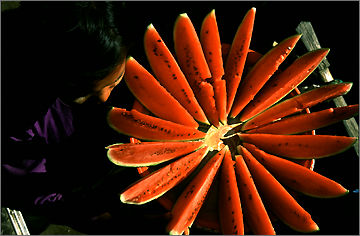 pic12.jpg
