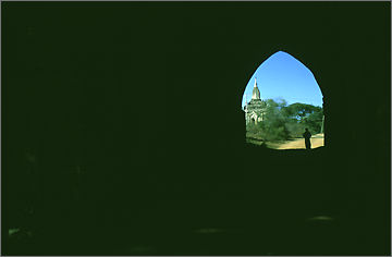 pic14.jpg