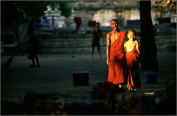pic15.jpg