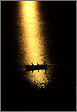 tpic12.jpg