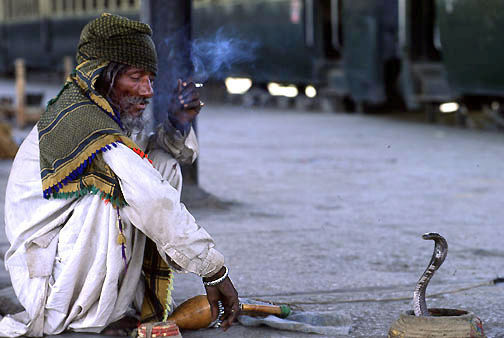 Loading ......    38k        When was the last time you have seen a snake charmer?