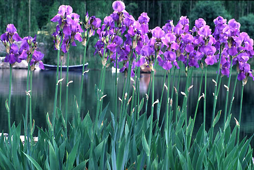 Now, this is the one I liked best,....   64k, Loading...........