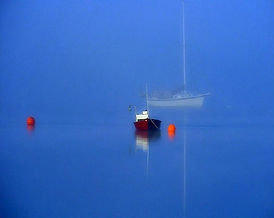 Masts.jpg