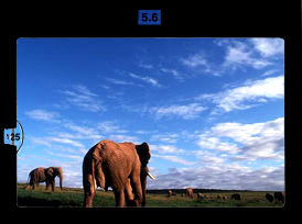 Nature Series...Lars Holst Hansen.jpg