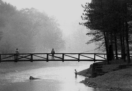 RickOlesonB/W.jpg (28k) Loading...