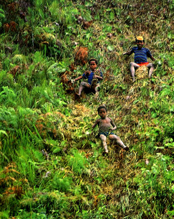 Photo Finish ? Image