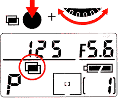 basic22j.jpg