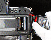 basic24d.jpg