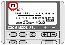 compen7.gif