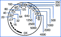 filspeedillus.gif