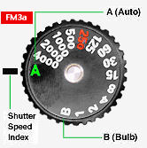 fm3ashutringillus.jpg