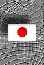 Japanese Icon